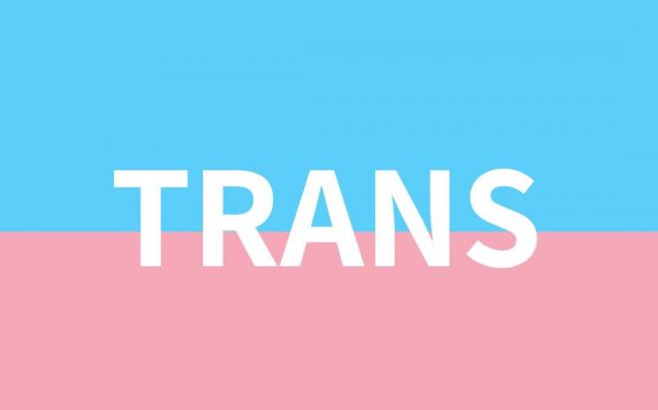 logo progetto TRANS