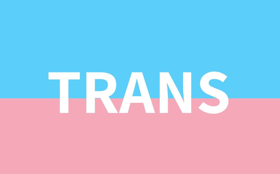 logo progetto TRANS